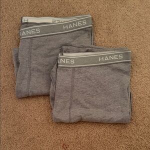Hanes Men's Boxer Briefs in Gray